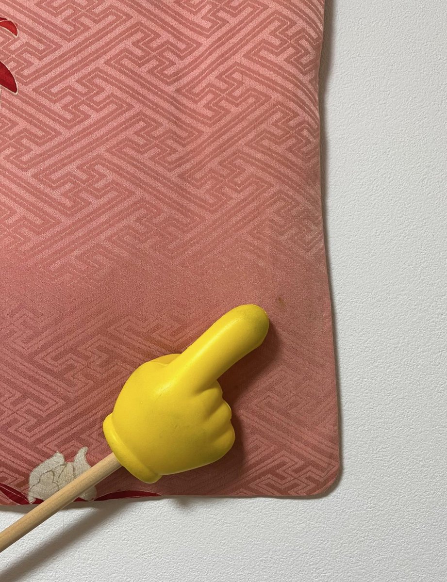 Photo13: JAPANESE KIMONO SILK ANTIQUE HAORI / PEONY / SAYAGATA / EMBROIDERY / CORAL (13)